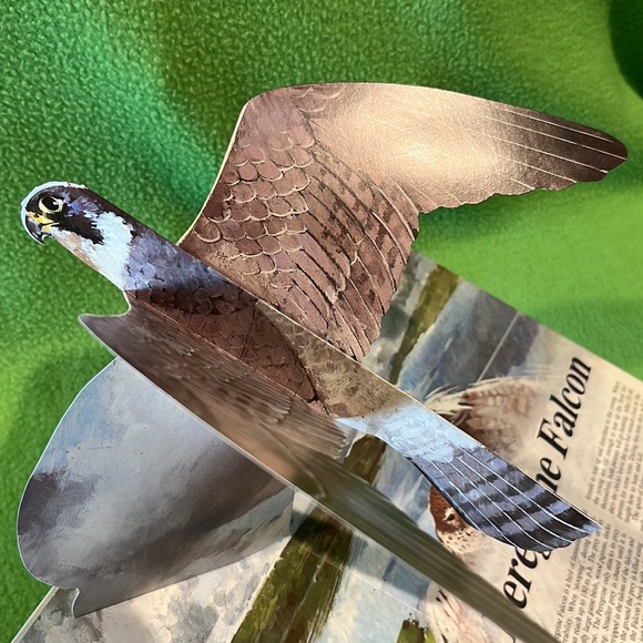 Majesty In Flight Nature’s Bird’s Of Prey in Three Dimensions Pop-Up HC Book - Picture 8 of 9